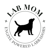 Lab Mom